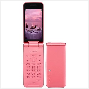COLOR LIFE 4 WATERPROOF 301P チェリーピンクの画像