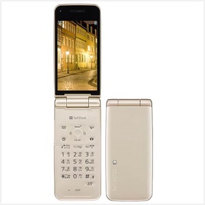 COLOR LIFE 4 WATERPROOF 301P ゴールドの画像