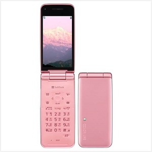 COLOR LIFE 4 WATERPROOF 301P ライトピンクの画像