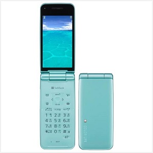 COLOR LIFE 4 WATERPROOF 301P ペールミントの画像